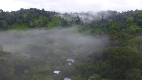 Wood-homes-in-a-primary-tropical-rainforest.-Misty-atmosphere-Saül-Guiana